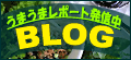 �A�W�A���N�b�L���O�X�^�W�I �u���O
