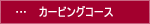 �J�[�r���O�R�[�X�i�^�C���������j